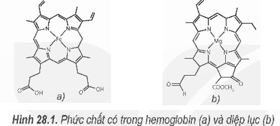 BÀI 28. SƠ LƯỢC VỀ PHỨC CHẤT