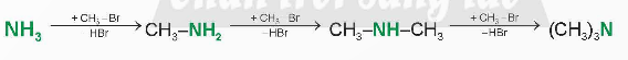 BÀI 6. AMINE