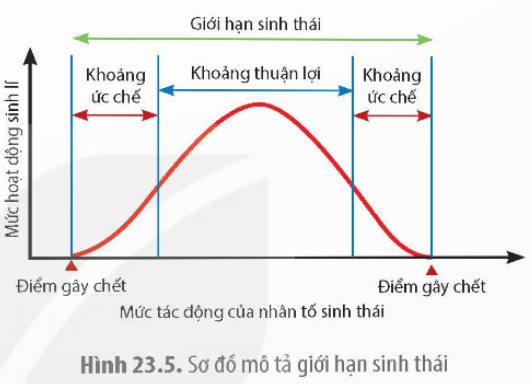 BÀI 23. MÔI TRƯỜNG VÀ CÁC NHÂN TỐ SINH THÁI