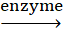 BÀI 10. PROTEIN VÀ ENZYME