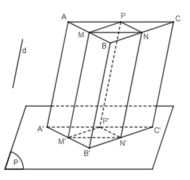 BÀI 14. PHÉP CHIẾU SONG SONG