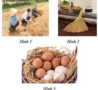 BÀI ĐỌC 3: HOÀNG TỬ HỌC NGHỀ