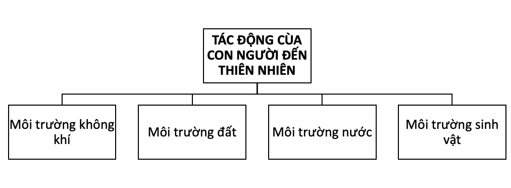 Tech12h