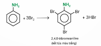 BÀI 6. AMINE