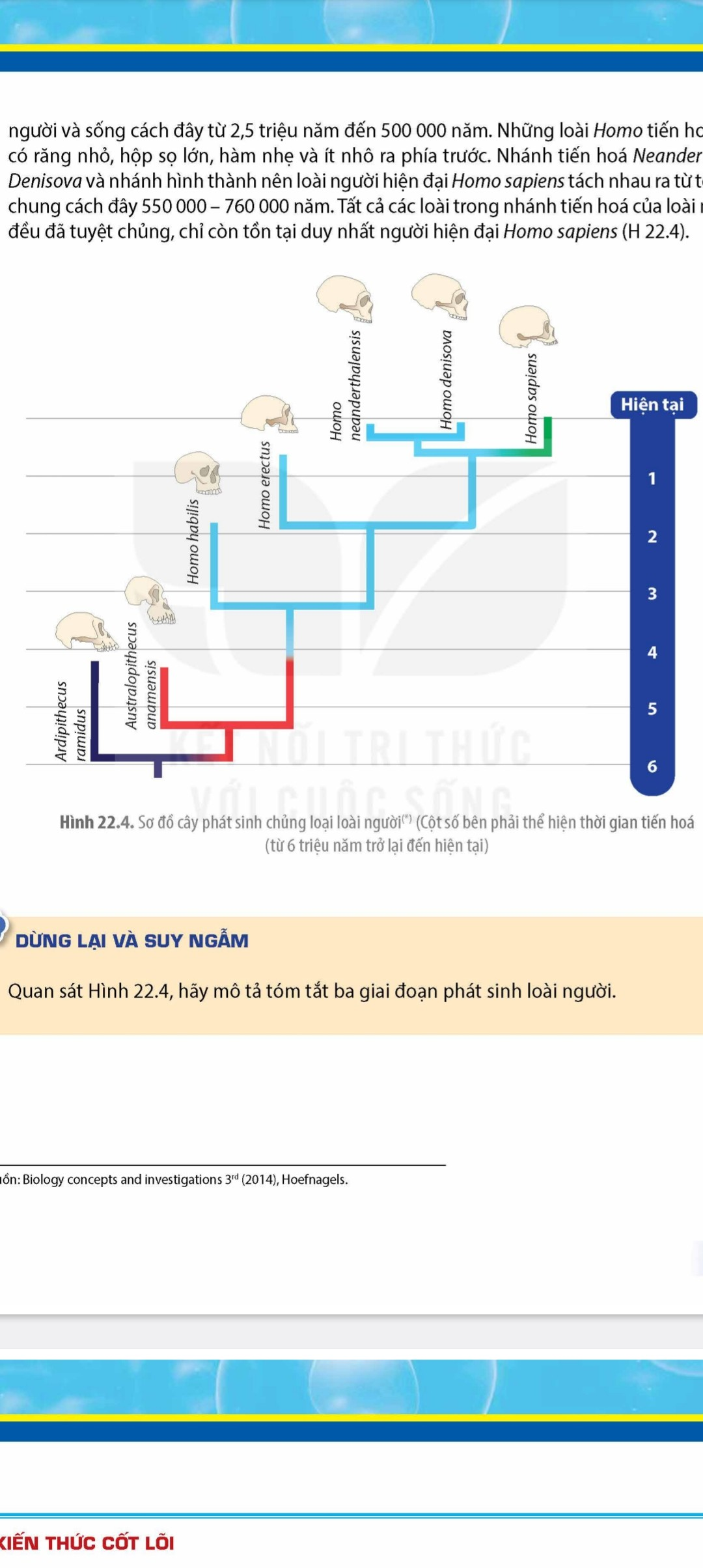 BÀI 22. TIẾN HÓA LỚN VÀ QUÁ TRÌNH PHÁT SINH CHỦNG LOẠI