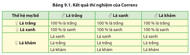 BÀI 9. DI TRUYỀN GENE NGOÀI NHÂN