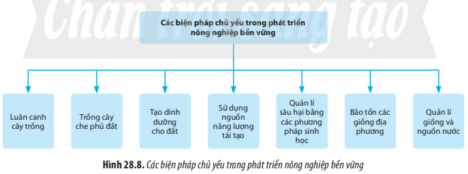 BÀI 28. PHÁT TRIỂN BỀN VỮNG