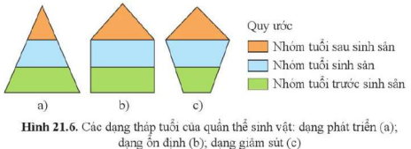 BÀI 21. SINH THÁI HỌC QUẦN THỂ