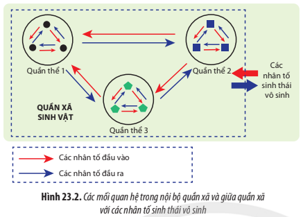 BÀI 23. QUẦN XÃ SINH VẬT