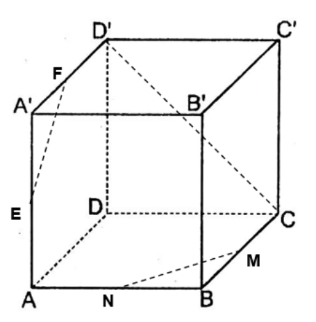 CHƯƠNG VIII. QUAN HỆ VUÔNG GÓC TRONG KHÔNG GIANBÀI 1. HAI ĐƯỜNG THẲNG VUÔNG GÓC