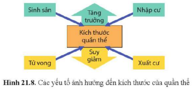 BÀI 21. SINH THÁI HỌC QUẦN THỂ