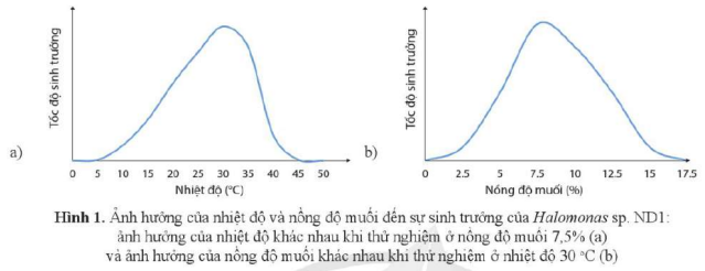 ÔN TẬP CHƯƠNG 7