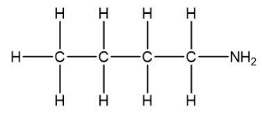 BÀI 5: AMINE