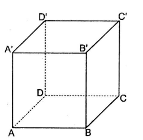 CHƯƠNG VIII. QUAN HỆ VUÔNG GÓC TRONG KHÔNG GIANBÀI 1. HAI ĐƯỜNG THẲNG VUÔNG GÓC