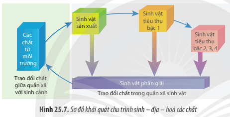 BÀI 25. HỆ SINH THÁI