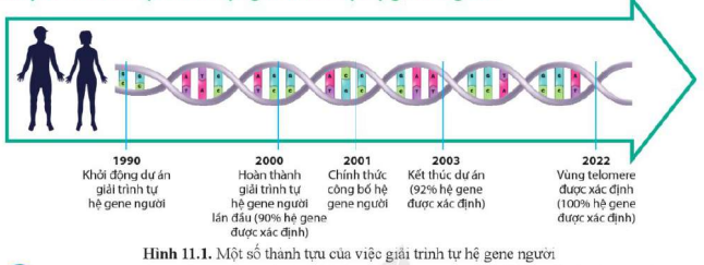 BÀI 11. HỆ GENE, CÔNG NGHỆ GENE VÀ ỨNG DỤNG