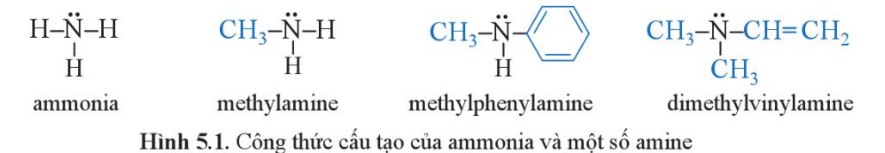 BÀI 5: AMINE