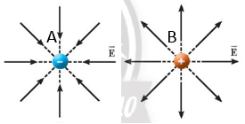 BÀI 12. ĐIỆN TRƯỜNG