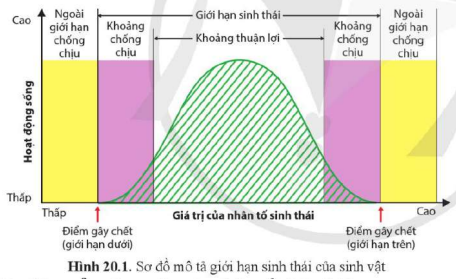 BÀI 20. MÔI TRƯỜNG SỐNG VÀ CÁC NHÂN TỐ SINH THÁI