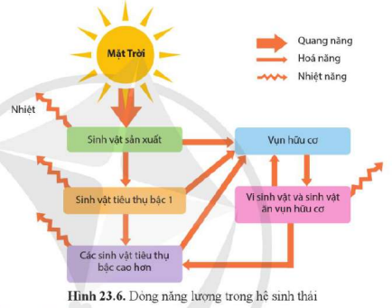 BÀI 23. HỆ SINH THÁI