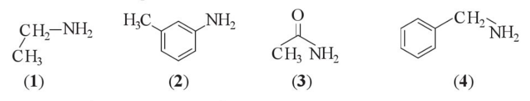 BÀI 5: AMINE