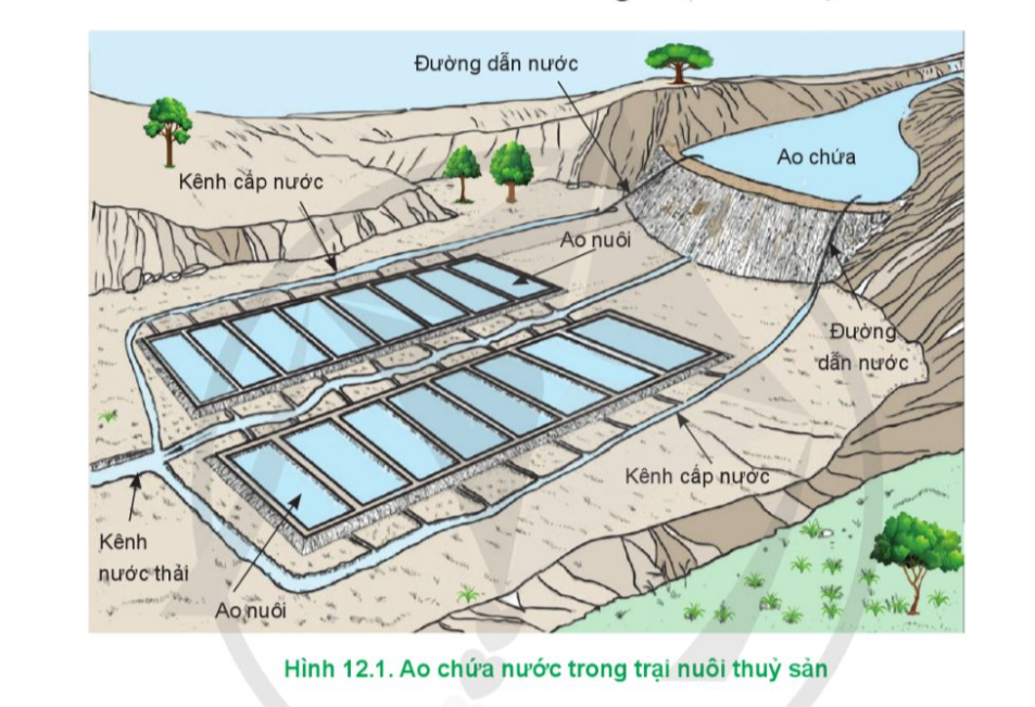 BÀI 12. QUẢN LÍ MÔI TRƯỜNG NUÔI THỦY SẢN