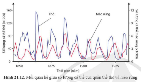 BÀI 21. SINH THÁI HỌC QUẦN THỂ