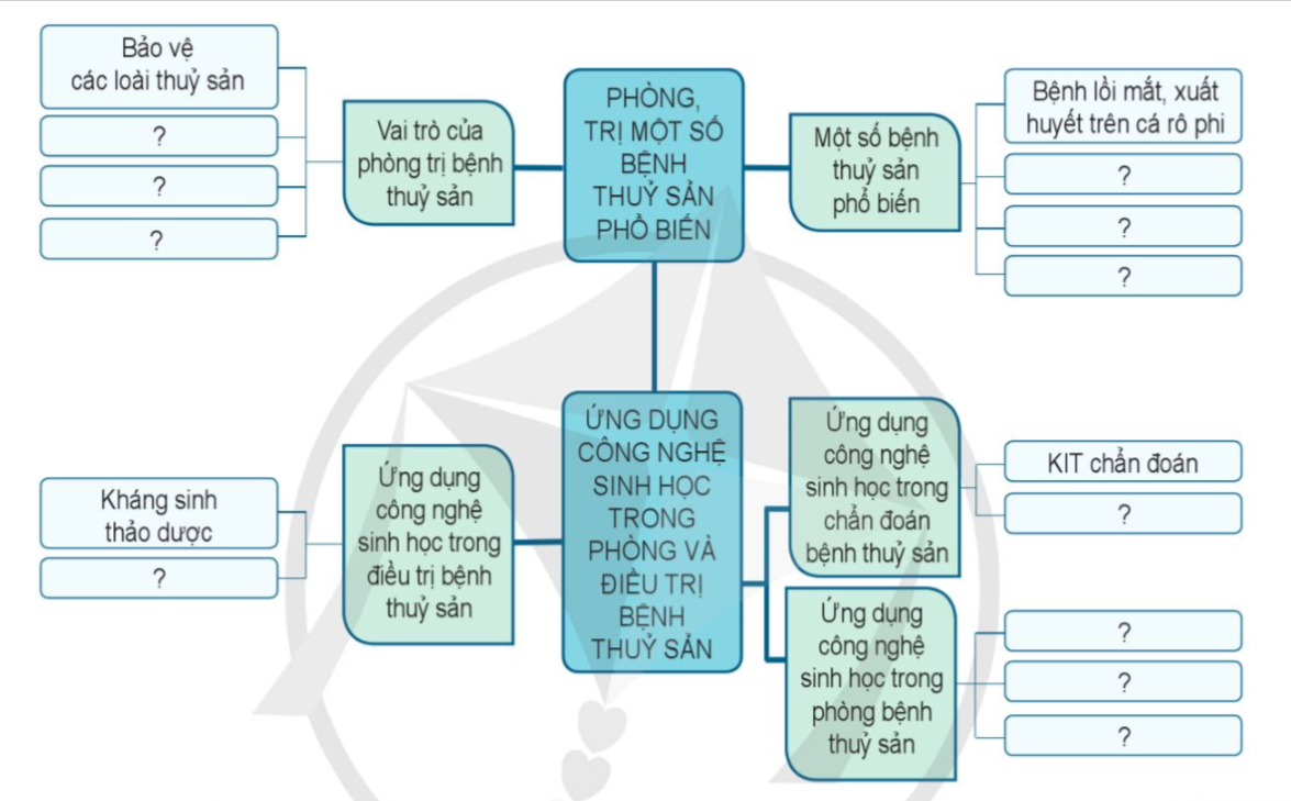 ÔN TẬP CHỦ ĐỀ 9. PHÒNG, TRỊ BỆNH THỦY SẢN