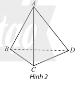 BÀI 2. HAI ĐƯỜNG THẲNG SONG SONG 