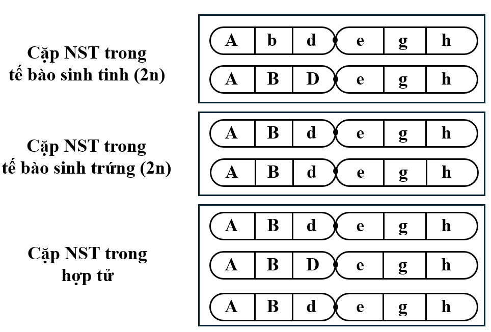 TRẮC NGHIỆM