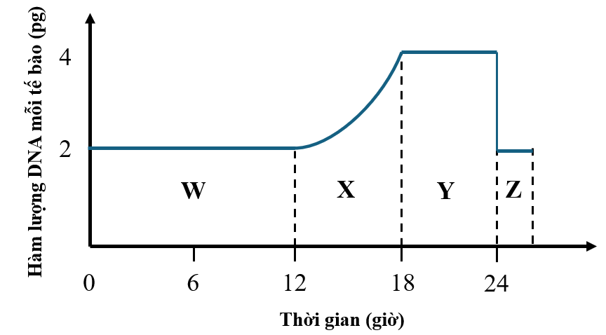 TRẮC NGHIỆM