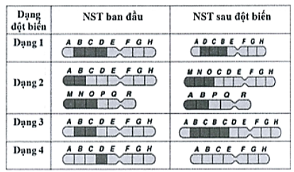 TRẮC NGHIỆM