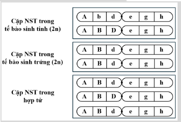 TRẮC NGHIỆM