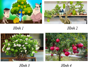 BÀI 6: TIẾNG VƯỜN