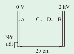 Tech12h