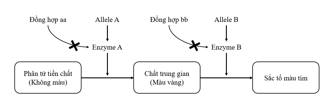 TRẮC NGHIỆM