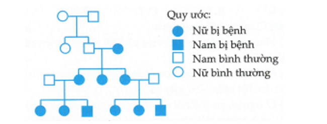 TRẮC NGHIỆM