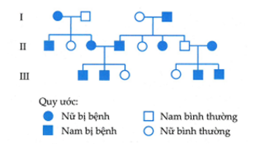 TRẮC NGHIỆM