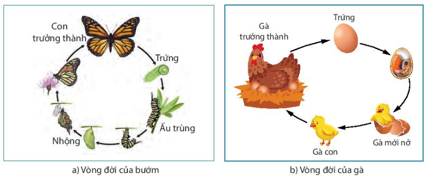 MA TRẬN, BẢN ĐẶC TẢ VÀ ĐỀ KIỂM TRA CUỐI KÌ I (KHTN 7)