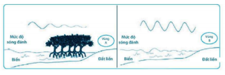A. PHẦN TRẮC NGHIỆM: (4 điểm) Khoanh tròn vào chữ cái đứng trước câu trả lời đúng:Câu 1. Trong các phát biểu sau đây, phát biểu nào đúng?A.Lực kế là dụng cụ để đo khối lượng.B.Lực kế là dụng cụ đo trọng lượng.C.Lực kế là dụng cụ để đo cả trọng lượng và khối lượng.D.Lực kế là dụng cụ để đo lực.Câu 2. Chọn cụm từ còn thiếu ở nhận định sau: “Chất tinh khiết có tính chất…”.A. vật lý và hoá học nhất định.B. vật lý nhất định, hoá học thay đổi.C. thay đổi.D. hoá học nhất định, vật lý thay đổiCâu 3. Động vật nguyên sinh sống kí sinh thường có đặc điểm nào?A. Cơ quan di chuyển thường tiêu giảm hoặc kém phát triển. B. Dinh dưỡng theo kiểu hoại sinh. C. Sinh sản vô tính với tốc độ nhanh. D. Cả 3 phương án trên đều đúngCâu 4. Đại diện nào dưới đây không thuộc ngành Thực vật?A. Rêu tường       B. Dương xỉ           C. Tảo lục                   D. Rong đuôi chóCâu 5.  Động vật nguyên sinh sống kí sinh thường có đặc điểm nào?A. Cơ quan di chuyển thường tiêu giảm hoặc kém phát triển. B. Dinh dưỡng theo kiểu hoại sinh. C. Sinh sản vô tính với tốc độ nhanh. D. Cả 3 phương án trên đều đúngCâu 6. Trong số các tác hại sau đây, tác hại nào không phải do nấm gây ra?A.Gây bệnh nấm da ở động vật.B.Làm hư hỏng thực phẩm, đồ dùng.C.Gây ngộ độc thực phẩm ở người.D.Gây bệnh viêm gan B ở người.Câu 7. Loài sinh vật nào dưới đây không thuộc giới Nguyên sinh vật?A. Nấm nhày       B. Trùng roi         C. Tảo lục           D. Phẩy khuẩn Câu 8. Loại nấm nào dưới đây được sử dụng để sản xuất rượu vang?A. Nấm hương       B. Nấm men        C. Nấm cốc                   D. Nấm mốc Câu 9. Đâu không phải vai trò của thực vật:A. Góp phần giữ cân bằng hàm lượng khí oxygen và carbon dioxide trong không khí B. Hiện tượng thoát hơi nước ở lá cây góp phần làm giảm nhiệt độ môi trường C. Làm ô nhiễm môi trường D. Thực vật góp phần chống xói mòn đất và bảo vệ nguồn nướcCâu 10. Độ lớn của lực ma sát phụ thuộc vào:A. Tốc độ chuyển động của vật B. Độ lớn của lực kéo hoặc lực đẩyC. Tính chất của bề mặt tiếp xúc giữa các vật D. Cả ba đáp án trên đều đúngCâu 11. Ta nhìn thấy các hình dạng khác nhau của Mặt Trăng vìA.Mặt Trăng thay đổi hình dạng liên tục.B.Mặt Trăng thay đổi độ sáng liên tục.C.ở mặt đất, ta thấy các phần khác nhau của Mặt Trăng được chiếu sáng bởi Mặt Trời.D.Trái Đất tự quay quanh trục của nó liên tục.Câu 12. Khẳng định nào sau đây là đúng?A. Nấm là sinh vật đơn bào hoặc đa bào nhân thực.B. Nấm hương, nấm mốc là đại diện thuộc nhóm nấm túi.C. Chỉ có thể quan sát nấm dưới kính hiển vi.D. Tất cả các loài nấm đều có lợi cho con người.Câu 13. Khi cho bột gạo vào nước và khuấy đều, ta thu đượcA. nhũ tương.                           B. huyền phù.C. dung dịch.                           D. dung môi. Câu 14. Trường hợp nào sau đây, lực ma sát là có ích?A. Đế giày dép đi sau một thời gian bị mòn.B. Đi trên sàn nhà bị trượt ngã.C. Sau một thời gian đi, răng của xích xe đạp bị mòn.D. Đẩy thùng hàng trượt trên sàn nhà khó khăn. Câu 15. Treo vật vào đầu một lực kế lò xo. Khi vật cân bằng, số chỉ của lực kế là 4N. Điều này cho biếtA. khối lượng của vật bằng 20gB. khối lượng của vật bằng 40gC. khối lượng của vật bằng 200gD. khối lượng của vật bằng 400g Câu 16. Biết rằng ở các vùng ven biển, mức độ sóng đánh vào bờ sẽ ảnh hưởng đến mức độ xói mòn của đất, sóng đánh càng mạnh thì mức độ xói mòn càng cao. Thực hiện đánh giá mức độ sóng đánh ở hai vùng A và B thu được kết quả như hình Dựa vào hình, em hãy dự đoán mực độ xói mòn của đất ở vùng A và BA. Đất ở vùng A mức độ xói mòn cao hơn B. Đất ở vùng B mức độ xói mòn cao hơn C. Cả hai vùng có độ xói mòn như nhauD. Không có đáp án chính xácCâu 17.  Dựa vào tính chất nào có thể tách các chất ra khỏi hỗn hợpA. Tính chất vật lí. B. Tính chất hóa học. C. Tính chất sinh học. D. Tất cả các đáp án trênCâu 18. Cho các thành phần sau:1. Tán lá 2. Rễ cây 3. Lớp thảm mục 4. Thân câyThành phần nào có khả năng làm cản trở dòng chảy của nước mưa ?A. 1, 2, 3, 4. B. 1, 2, 3. C. 2, 3, 4. D. 1, 2, 4Câu 19. Dưới đây là sơ đồ mô tả thiết bị chưng cất tinh dầu như tình dầu quế, tinh dầu sả, tinh  dầu khuynh diệp,...Nếu phần trước của bộ sinh hàn bị hở thì kết quả chiết xuất như thế nào? A. Không ảnh hưởng gì tới kết quả chiết xuất tinh dầu.B. Nếu phần trước của bộ sinh hàn bị hở thì hơi nước bay ra môi trường không khí, hiệu quả chiết xuất sẽ rất thấpC. Nếu phần trước của bộ sinh hàn bị hở thì hơi nước và ống dầu sả bay ra môi trường không khí, hiệu quả chiết xuất sẽ rất thấp. D. Nếu phần trước của bộ sinh hàn bị hở thì hơi nước và ống dầu sả bay ra môi trường không khí, tuy nhiên, điều này không ảnh hưởng đến kết quả chiết xuấtCâu 20. Tại sao khi phanh gấp, lốp xe ô tô để lại một vệt đen dài trên đường nhựa?A. Do ma sát giữa lốp xe mà mặt đường lớn B. Do cao su nóng lên C. Do ma sát giữa lốp xe và mặt đường lớn làm cho cao su nóng lên, mềm ra và dính vào mặt đường D. Do lực hút của mặt đường. B. PHẦN TỰ LUẬN: (6 điểm)Câu 1. (1,0 điểm)Em hãy nêu một số biện pháp phòng chống bệnh do nguyên sinh vật gây raCâu 2. (2,0 điểm)Trình bày được 5 biện pháp phòng chống bệnh do nấmCâu 3. (1,5 điểm)Một đoàn tàu đang giảm tốc độ khi vào ga, biết lực kéo của đầu máy là 15000N. Em có nhận xét gì về độ lớn của lực ma sát khi đó?Câu 4. (1,5 điểm)Chọn từ phù hợp để điền vào chỗ trốngtrái đất           cùng phía         mặt trăngKhi mặt trăng ở (1) ............. với Mặt Trời, mặt tối của nó quay về phía (2)........... cho nên chúng ta không nhìn thấy (3)...................... Đó là ngày không trăng BÀI LÀM.......................................................................................................................................... .......................................................................................................................................... .......................................................................................................................................... .......................................................................................................................................... .......................................................................................................................................... .......................................................................................................................................... .......................................................................................................................................... .......................................................................................................................................... .......................................................................................................................................... .......................................................................................................................................... .......................................................................................................................................... .......................................................................................................................................... .......................................................................................................................................... .......................................................................................................................................... ..........................................................................................................................................            .......................................................................................................................................... .......................................................................................................................................... .......................................................................................................................................... .......................................................................................................................................... .......................................................................................................................................... .......................................................................................................................................... .......................................................................................................................................... .......................................................................................................................................... .......................................................................................................................................... .......................................................................................................................................... .......................................................................................................................................... .......................................................................................................................................... .......................................................................................................................................... .......................................................................................................................................... .......................................................................................................................................... .......................................................................................................................................... .......................................................................................................................................... .......................................................................................................................................... .......................................................................................................................................... .......................................................................................................................................... .......................................................................................................................................... .......................................................................................................................................... ..........................................................................................................................................                                      TRƯỜNG THCS ........              HƯỚNG DẪN CHẤM KIỂM TRA CUỐI HỌC KÌ I (2021 – 2022)MÔN KHOA HỌC TỰ NHIÊN 6 – CÁNH DIỀU A. PHẦN TRẮC NGHIỆM: (4,0 điểm)   - Mỗi câu trả lời đúng được 0,2 điểm.1D2A3D4C5D6D7D8B9C10C11C12D13B14B15D16B17D18A19C20C B. PHẦN TỰ LUẬN: (6,0 điểm)                                    CâuNội dung đáp ánBiểu điểm Câu 1(1,0 điểm)Một số biện pháp phòng chống bệnh do nguyên sinh vật gây ra:Ngủ màn, diệt ruồi, muỗi, côn trùng, bọ gậyChỉ sử dụng thực phẩm đảm bảo an toàn vệ sinh Vệ sinh cá nhân sạch sẽ; vệ sinh môi trường sống và nơi công cộngTuyên truyền trong cộng đóng ý thức vệ sinh môi trường, ... 0,25 điểm0,25 điểm0,25 điểm0,25 điểm     Câu 2(2,0 điểm)Một số biện pháp phòng chống các bệnh thường gặp do nấm:+ Hạn chế tiếp xúc với mầm bệnh, nguồn bệnh, đặc biệt nơi môi trường ẩm mốc+ Bảo hộ an toàn khi tiếp xúc với người bị nhiễm nấm hoặc khử trùng sau khi tiếp xúc với môi trường không an toàn với nấm mốc+ Không dùng chung đồ với người bị bệnh nấm, hoặc với người khác. Quần áo sau khi mặc cần được giặt ngay, tránh treo trên giá sau đó vài ngày đưa ra mặc lại+ Vệ sinh cơ thể đúng cách, đúng thời điểm, an toàn+ Vệ sinh môi trường sạch sẽ. 0.4 điểm 0.4 điểm 0.4 điểm 0.4 điểm 0.4 điểmCâu 3(1,5 điểm)(1) cùng phía(2) trái đất(3) mặt trăng0.5 điểm0.5 điểm0.5 điểm Câu 4(1,5 điểm)Lực ma sát lớn hơn 15000N.- Vì tàu đang giảm tốc nên lực kéo của đầu máy nhỏ hơn lực ma sát ngăn cản chuyển động. - Nên lực ma sát lúc đó phải lớn hơn 15000N0,75 điểm 0,75 điểm        TRƯỜNG THCS .........  MA TRẬN ĐỀ KIỂM TRA GIỮA KÌ II – MÔN KHTN