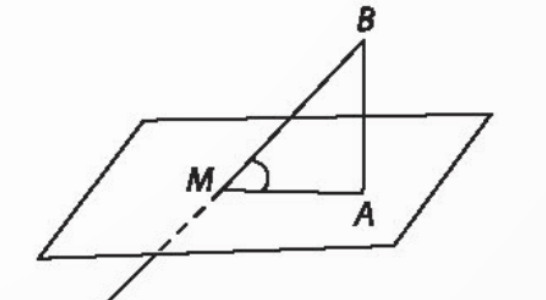 BÀI 24. PHÉP CHIẾU VUÔNG GÓC. GÓC GIỮA ĐƯỜNG THẲNG VÀ MẶT PHẲNG