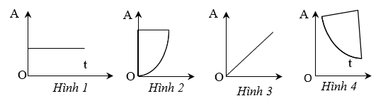 Tech12h