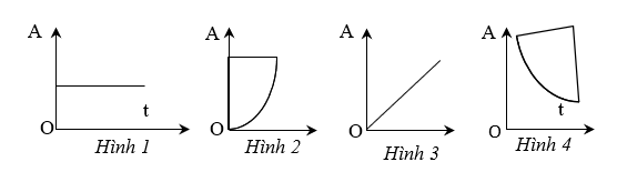 Tech12h