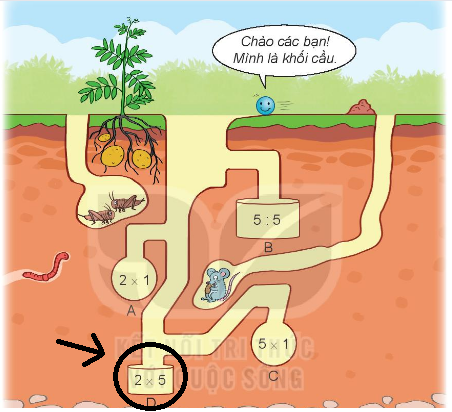 BÀI 46 KHỐI TRỤ, KHỐI CẦU