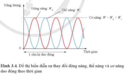 BÀI 3. NĂNG LƯỢNG TRONG DAO ĐỘNG ĐIỀU HÒAKHỞI ĐỘNGCâu hỏi: Một con lắc đơn lớn được treo ở sảnh của toà nhà Liên Hợp Quốc tại thành phố New York, Mỹ. Quả cầu có khối lượng 91 kg và sợi dây treo dài 22,9 m. Con lắc liên tục dao động với chu kì 9,6 s. Khi con lắc đơn dao động, nó có những dạng năng lượng nào? Giải nhanh:- Dạng năng lương động năng, thế  năng khi  con lắc chuyển động, nó có sự thay đổi độ caoI. SỰ CHUYỂN HÓA NĂNG LƯỢNG TRONG DAO ĐỘNG ĐIỀU HÒA