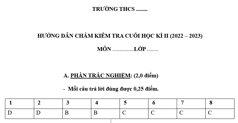 Tech12h