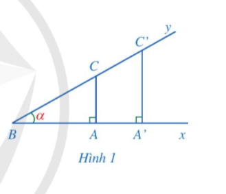 BÀI 1. TỈ SỐ LƯỢNG GIÁC CỦA GÓC NHỌN