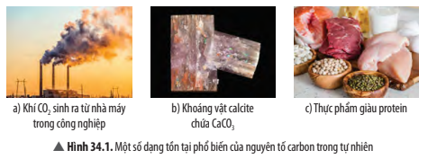 BÀI 34. NGUỒN CARBON. CHU TRÌNH CARBON VÀ SỰ ẤM LÊN TOÀN CẦU