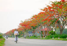 TRẮC NGHIỆM
