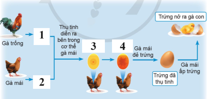 TRẮC NGHIỆM